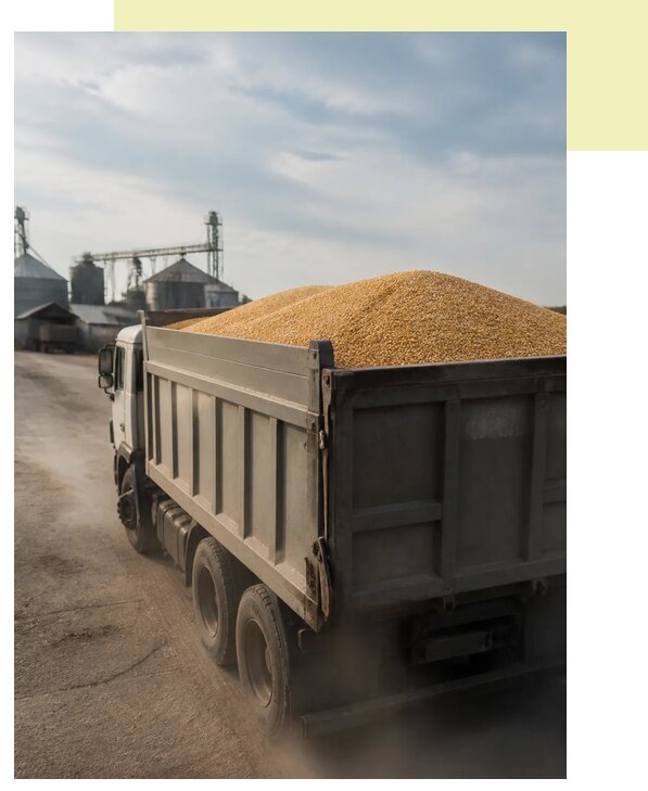 Перевозка сельхозпродукции навалом в Петергоф по цене от 3138 р. | Агросервис-Птф